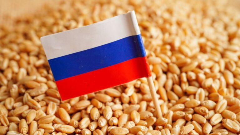من بينها تونس : ماذا وراء شحنات القمح الروسي لإفريقيا