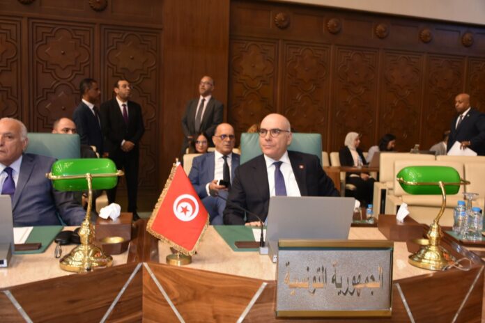 وزير الخارجية التونسي نبيل عمار