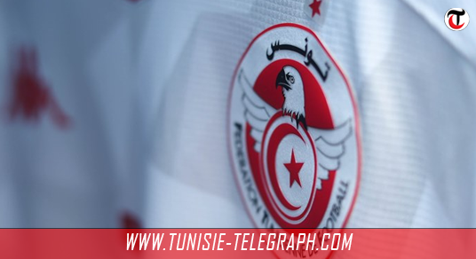 لأول مرة في التاريخ : الجامعة التونسية لكرة القدم تفتح باب الترشح لتدريب المنتخب الوطني
