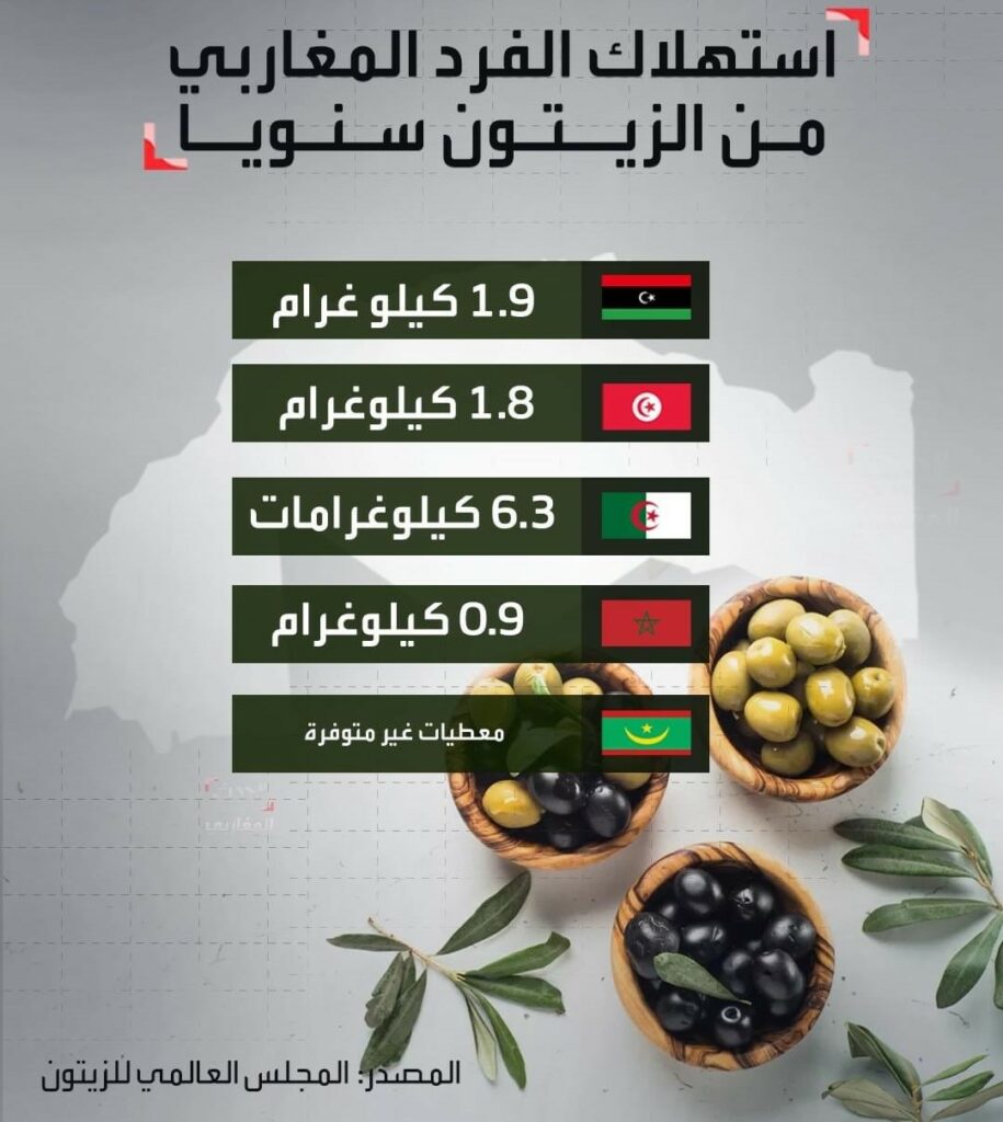 Tunisie Telegraph — الشرق الأوسط من هي الدولة المغاربية الأكثر استهلاكا للزيتون