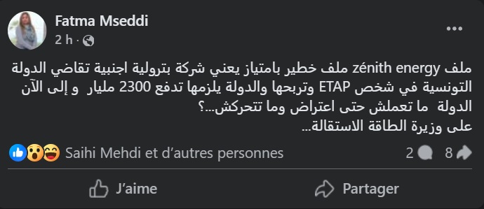 Tunisie Telegraph — الأولى النائب فاطمة المسدي تدعو وزيرة الطاقة إلى الإستقالة بسبب هذا الملف