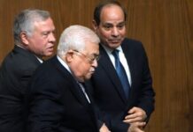 القمة العربية الطارئة : هذه تفاصيل الخطة المصرية لمستقبل غزة
