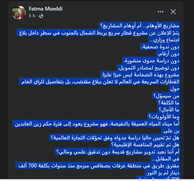 &mdash; النائب فاطمة المسدي تثير الجدل حول المشاريع الكبرى: “مشاريع الأوهام… أم أوهام المشاريع؟”