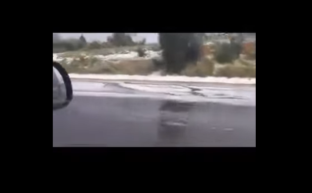 &mdash; الطريق السيارة "تونس-الحمامات" تكتسي الحلة البيضاء: خبير بيئي يفسر الظاهرة