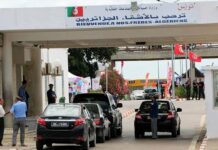بعد خروج الجزائر من المونديال.. تونس تستعيد اهتمام العائلات الجزائرية بوجهتها السياحية