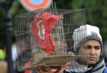 تحت عنوان عندما يذبل الياسمين … واشنطن تحتضن ندوة دولية حول مستقبل التجربة السياسية التونسية