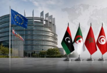 حين أصبحت الهجرة أهم من الديمقراطية.. كيف أعادت أوروبا رسم علاقتها بتونس والمغرب العربي؟